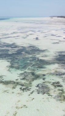 Tanzanya 'nın Zanzibar kıyısındaki okyanusta alçak gelgitin dikey videosu.
