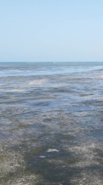 Tanzanya 'nın Zanzibar kıyısındaki okyanusta alçak gelgitin dikey videosu.