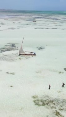 Tanzanya 'nın Zanzibar kıyısındaki okyanusta alçak gelgitin dikey videosu.