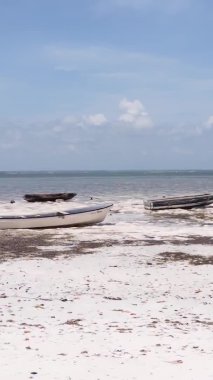 Tanzanya 'nın Zanzibar kıyısındaki okyanusta alçak gelgitin dikey videosu.