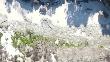 Tanzanya 'nın Zanzibar kıyısındaki okyanusta alçak gelgitin dikey videosu.
