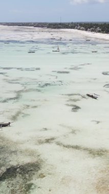 Tanzanya 'nın Zanzibar kıyısındaki okyanusta alçak gelgitin dikey videosu.