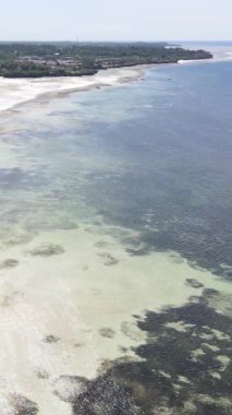 Tanzanya 'nın Zanzibar kıyısındaki okyanusta alçak gelgitin dikey videosu.