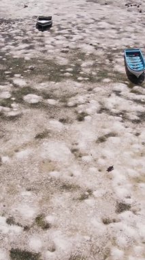 Tanzanya 'nın Zanzibar kıyısındaki okyanusta alçak gelgitin dikey videosu.