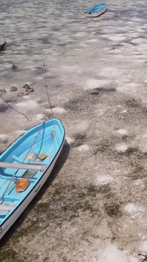 Tanzanya 'nın Zanzibar kıyısındaki okyanusta alçak gelgitin dikey videosu.