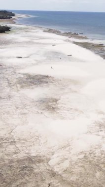 Tanzanya 'nın Zanzibar kıyısındaki okyanusta alçak gelgitin dikey videosu.
