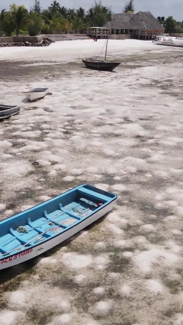 Video verticale della bassa marea nell'oceano vicino alla costa di Zanzibar, Tanzania, vista aerea — Video Stock