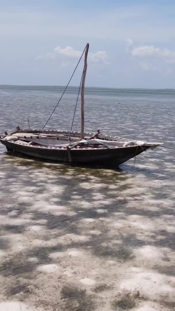 Pionowe wideo z odpływu w oceanie przy wybrzeżu Zanzibaru, Tanzania, widok z lotu ptaka — Wideo stockowe