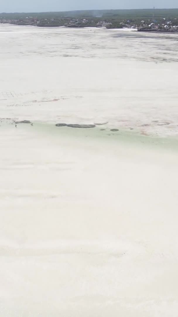 Vídeo vertical da maré baixa no oceano perto da costa de Zanzibar, na Tanzânia, vista aérea — Vídeo de Stock