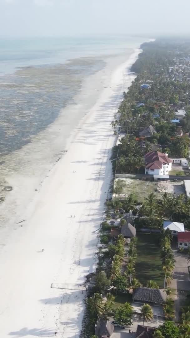 Pystysuora video laskuveden meressä lähellä rannikkoa Zanzibar, Tansania, ilmakuva — kuvapankkivideo