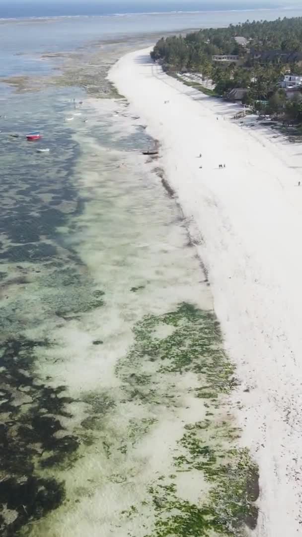 Вертикальне відео про відплив в океані біля узбережжя Занзібару, Танзанія, вигляд з повітря — стокове відео