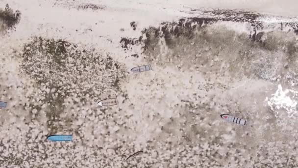 Vertical video of low tide in the ocean near the coast of Zanzibar, Tanzania, aerial view — Stock Video