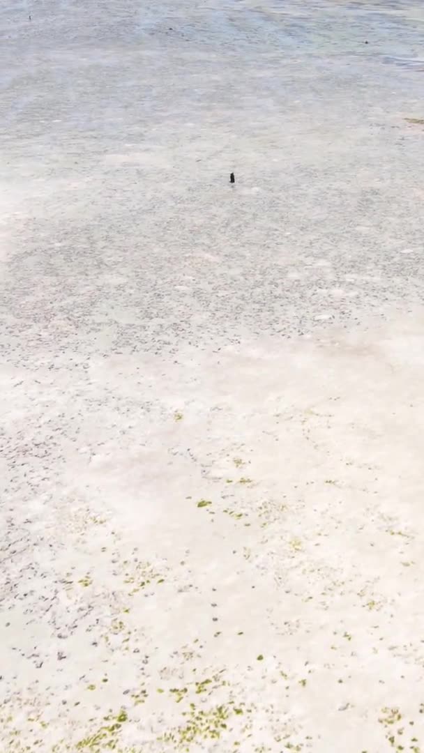 Vídeo vertical de la marea baja en el océano cerca de la costa de Zanzíbar, Tanzania, vista aérea — Vídeos de Stock