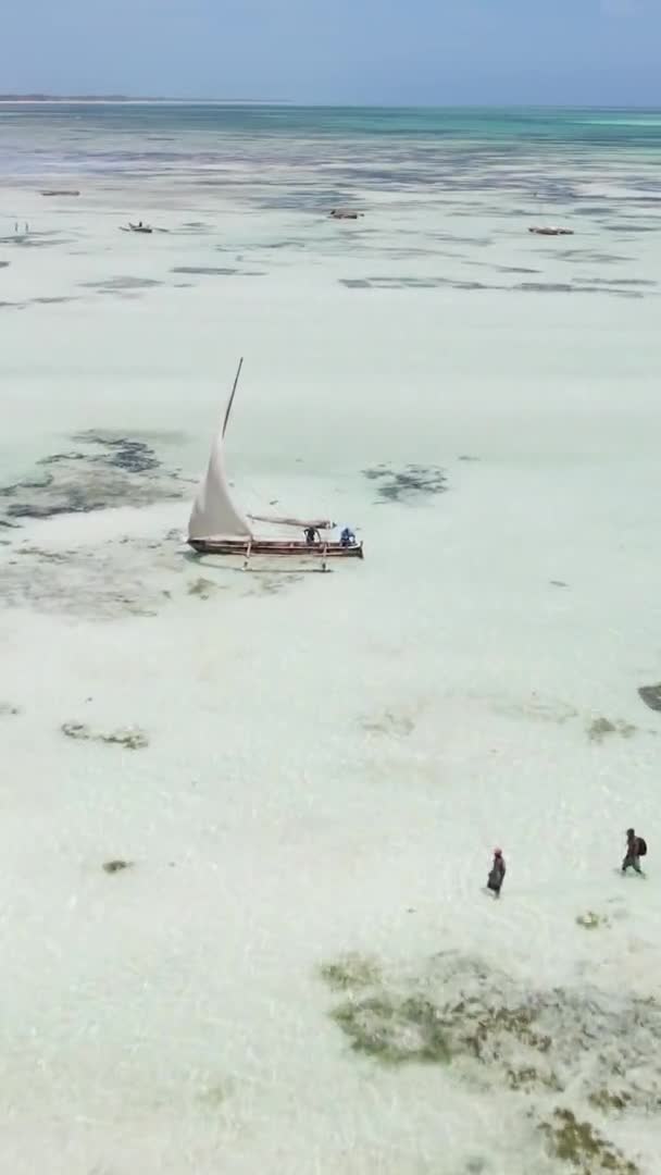 Vidéo verticale de marée basse dans l'océan près de la côte de Zanzibar, Tanzanie, vue aérienne — Video