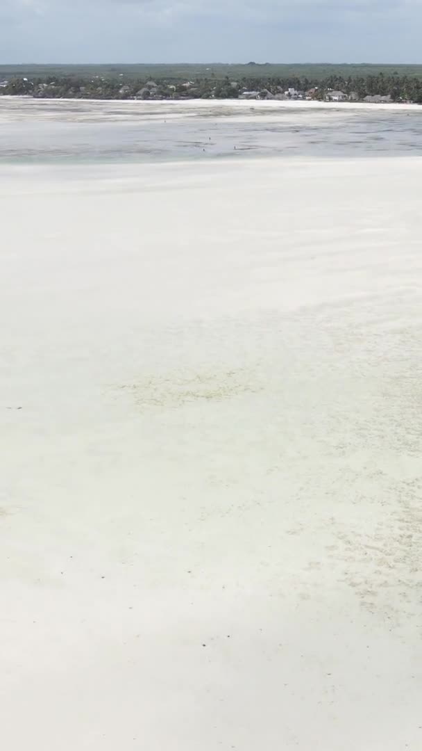 Вертикальное видео низкого прилива в океане у берегов Занзибара, Танзания, вид сверху — стоковое видео