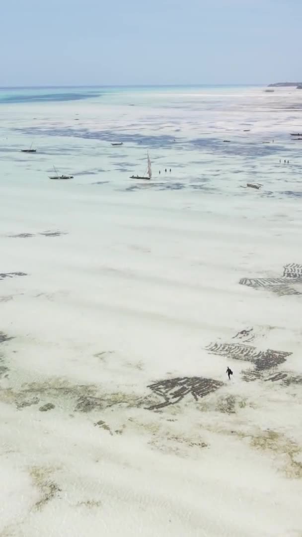 Verticale video van laagwater in de oceaan nabij de kust van Zanzibar, Tanzania, luchtfoto — Stockvideo