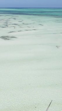 Tanzanya 'nın Zanzibar kıyısındaki okyanusta alçak gelgitin dikey videosu.