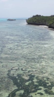Tanzanya 'nın Zanzibar kıyısındaki okyanusta alçak gelgitin dikey videosu.