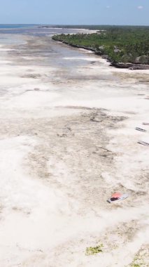 Tanzanya 'nın Zanzibar kıyısındaki okyanusta alçak gelgitin dikey videosu.