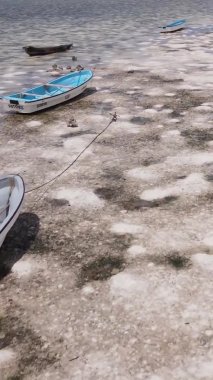 Tanzanya 'nın Zanzibar kıyısındaki okyanusta alçak gelgitin dikey videosu.