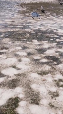Tanzanya 'nın Zanzibar kıyısındaki okyanusta alçak gelgitin dikey videosu.