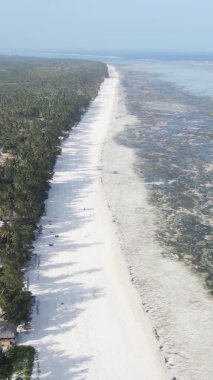 Tanzanya 'nın Zanzibar kıyısındaki okyanusta alçak gelgitin dikey videosu.