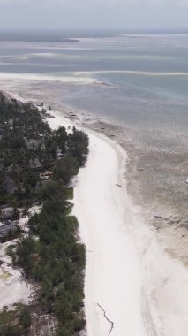 Tanzanya 'nın Zanzibar kıyısındaki okyanusta alçak gelgitin dikey videosu.