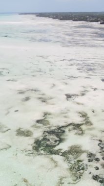 Tanzanya 'nın Zanzibar kıyısındaki okyanusta alçak gelgitin dikey videosu.