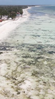 Tanzanya 'nın Zanzibar kıyısındaki okyanusta alçak gelgitin dikey videosu.