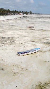 Tanzanya 'nın Zanzibar kıyısındaki okyanusta alçak gelgitin dikey videosu.