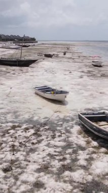 Tanzanya 'nın Zanzibar kıyısındaki okyanusta alçak gelgitin dikey videosu.