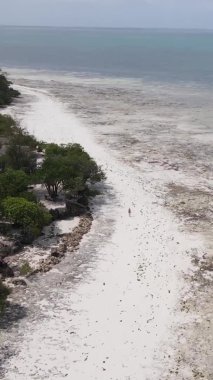 Tanzanya 'nın Zanzibar kıyısındaki okyanusta alçak gelgitin dikey videosu.
