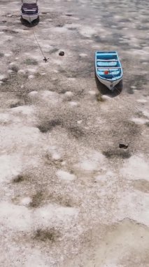 Tanzanya 'nın Zanzibar kıyısındaki okyanusta alçak gelgitin dikey videosu.