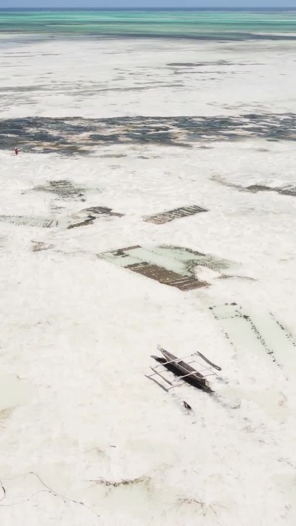 Vidéo verticale de marée basse dans l'océan près de la côte de Zanzibar, Tanzanie, vue aérienne — Video