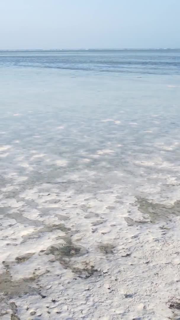 Vídeo vertical de la marea baja en el océano cerca de la costa de Zanzíbar, Tanzania, vista aérea — Vídeo de stock