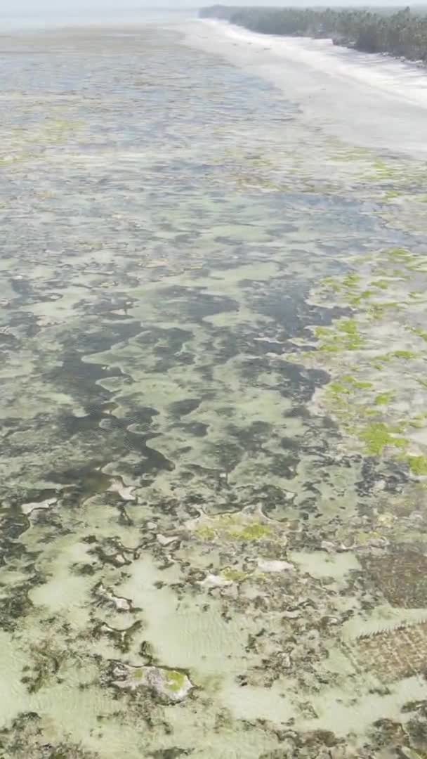 Verticale video van laagwater in de oceaan nabij de kust van Zanzibar, Tanzania, luchtfoto — Stockvideo