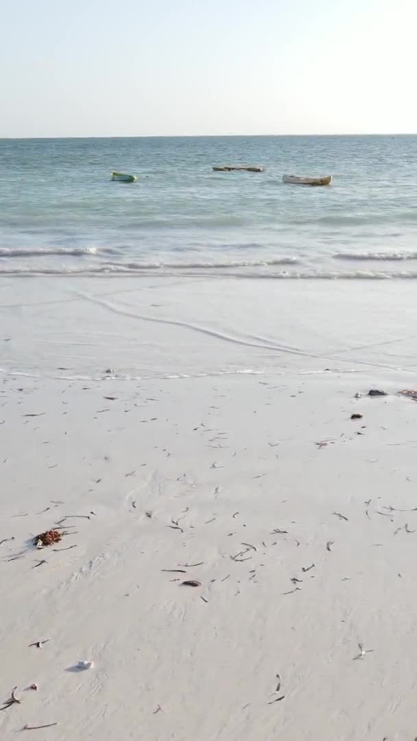 Verticale video van laagwater in de oceaan nabij de kust van Zanzibar, Tanzania, luchtfoto — Stockvideo