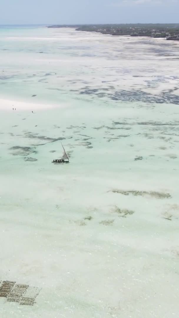 タンザニアのザンジバル海岸近くの海での干潮の垂直ビデオ、航空ビュー — ストック動画