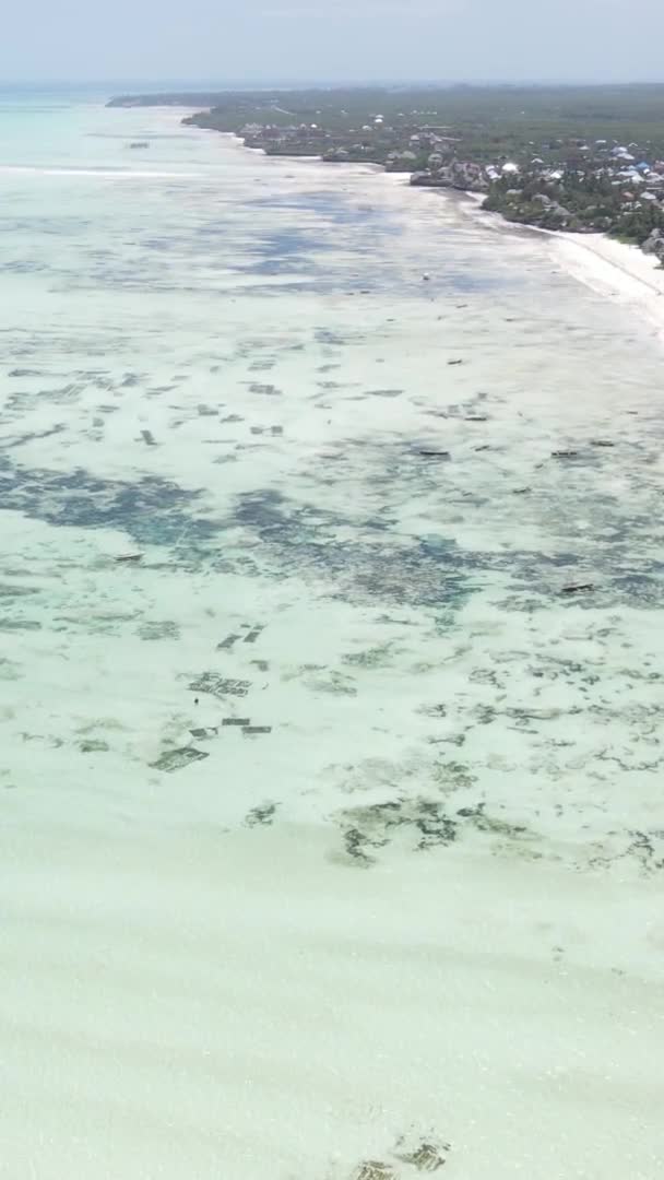 Vídeo vertical da maré baixa no oceano perto da costa de Zanzibar, na Tanzânia, vista aérea — Vídeo de Stock