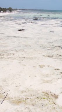 Tanzanya 'nın Zanzibar kıyısındaki okyanusta alçak gelgitin dikey videosu.