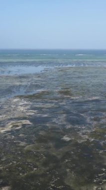 Tanzanya 'nın Zanzibar kıyısındaki okyanusta alçak gelgitin dikey videosu.