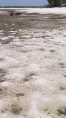 Tanzanya 'nın Zanzibar kıyısındaki okyanusta alçak gelgitin dikey videosu.