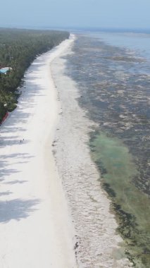 Tanzanya 'nın Zanzibar kıyısındaki okyanusta alçak gelgitin dikey videosu.