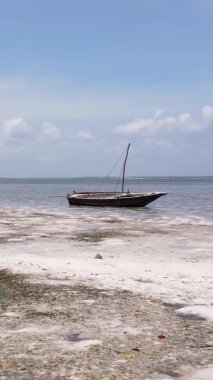 Tanzanya 'nın Zanzibar kıyısındaki okyanusta alçak gelgitin dikey videosu.