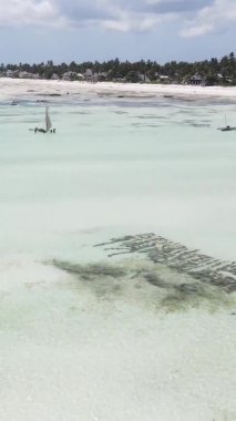 Tanzanya 'nın Zanzibar kıyısındaki okyanusta alçak gelgitin dikey videosu.