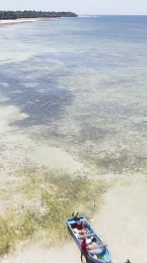 Tanzanya 'nın Zanzibar kıyısındaki okyanusta alçak gelgitin dikey videosu.