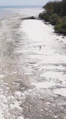 Tanzanya 'nın Zanzibar kıyısındaki okyanusta alçak gelgitin dikey videosu.