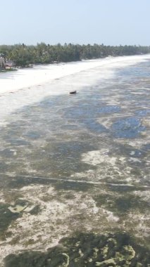 Tanzanya 'nın Zanzibar kıyısındaki okyanusta alçak gelgitin dikey videosu.