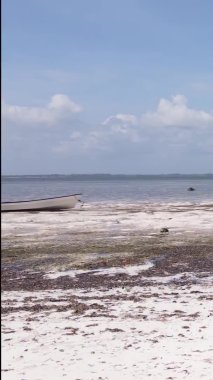 Tanzanya 'nın Zanzibar kıyısındaki okyanusta alçak gelgitin dikey videosu.