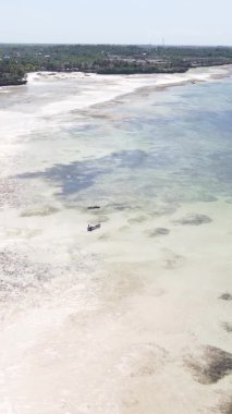 Tanzanya 'nın Zanzibar kıyısındaki okyanusta alçak gelgitin dikey videosu.